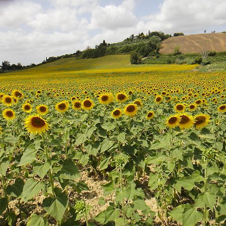 Tenuta Di Colle Alberti Agriturismo Villa Cerreto Guidi Luaran gambar