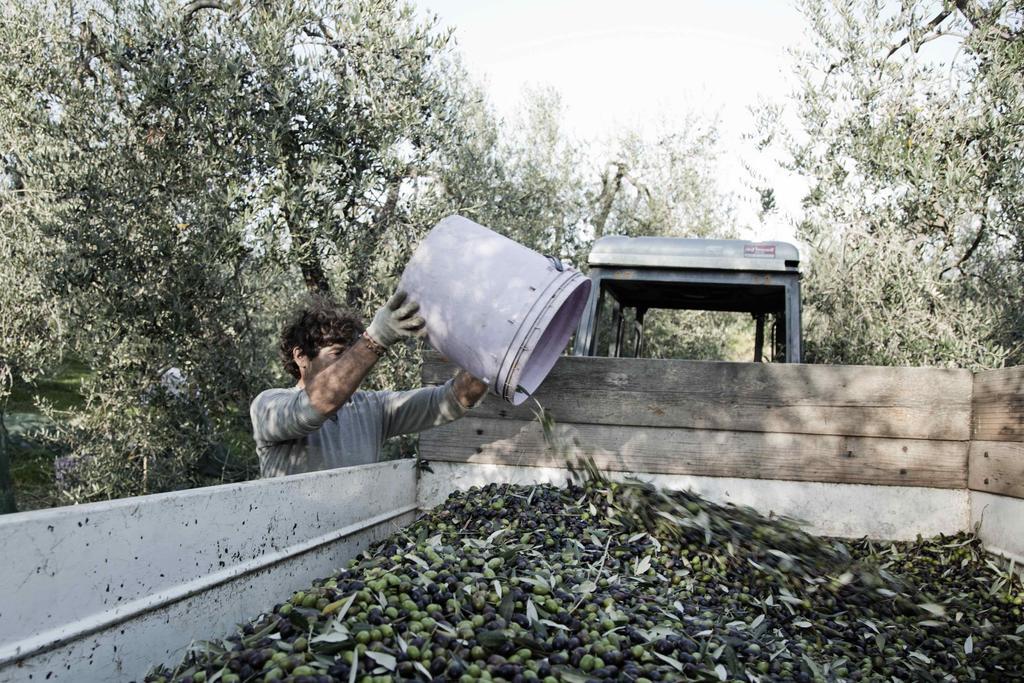 Tenuta Di Colle Alberti Agriturismo Villa Cerreto Guidi Luaran gambar