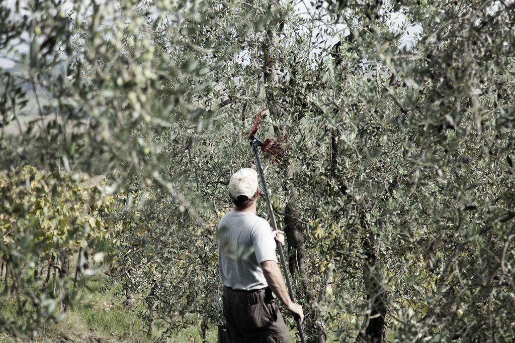 Tenuta Di Colle Alberti Agriturismo Villa Cerreto Guidi Luaran gambar