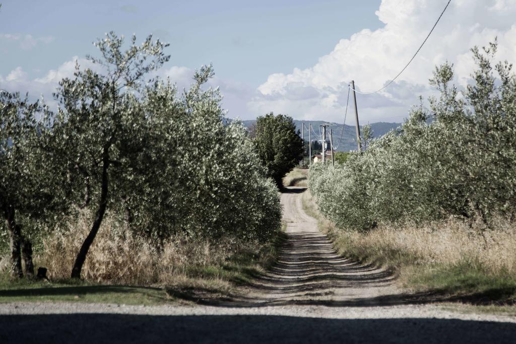 Tenuta Di Colle Alberti Agriturismo Villa Cerreto Guidi Luaran gambar